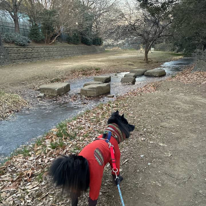 881149ab caf9 4634 ba77 d24a11fe0714 1769127015449