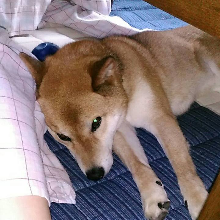 8811706d 9014 4c5f 939f e0bac0762059 1559353909773