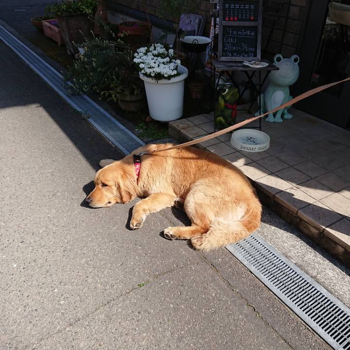 8811bdfc be6b 40af 9b7e 55f67fa6c4e8 1555931049057