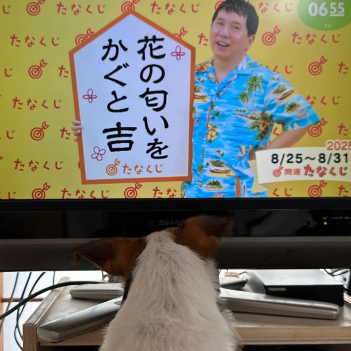 88120d46 8653 44ba b5f0 aa31656a56c5 1756074234510