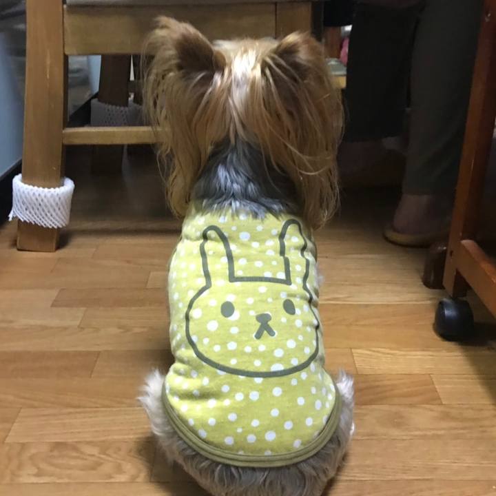 88121be5 dbe4 4525 81fc fcdd0f4d8883 1573551495705