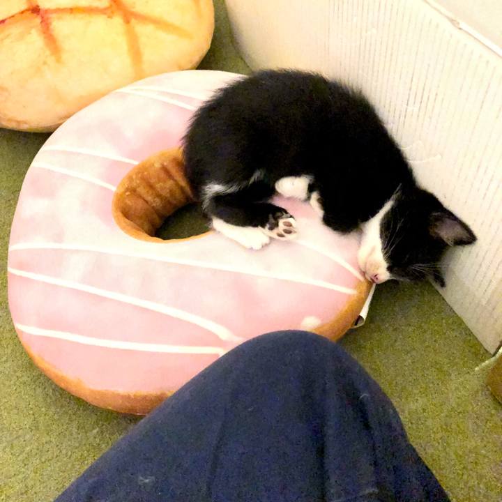 88122110 e844 44cf 9ba5 19fc7d5c29a1 1537593769666