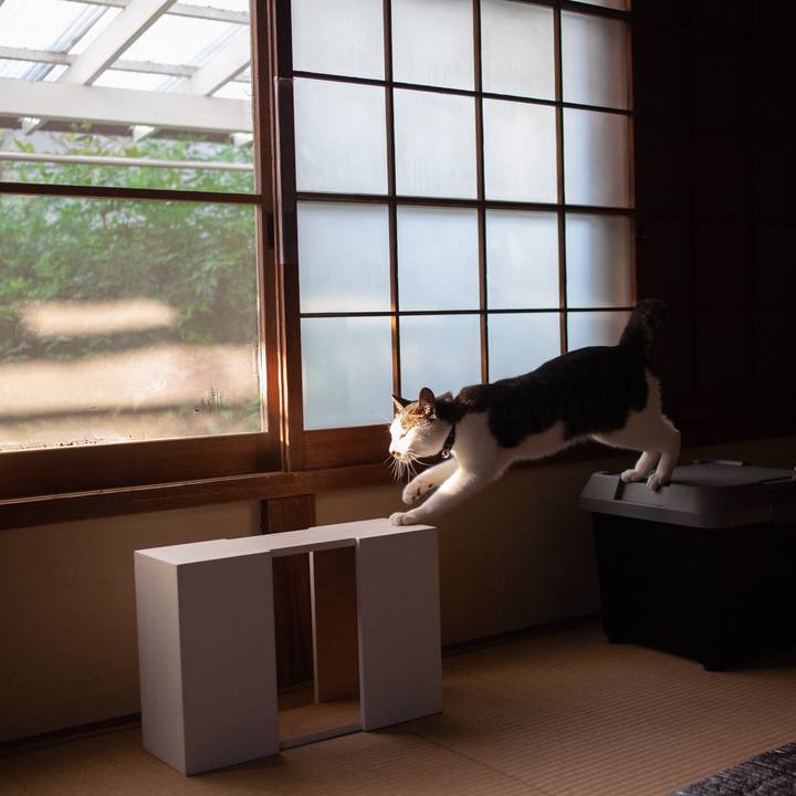 88123be8 a84c 4d9d b49f 93e319eaeb4f 1558456212444