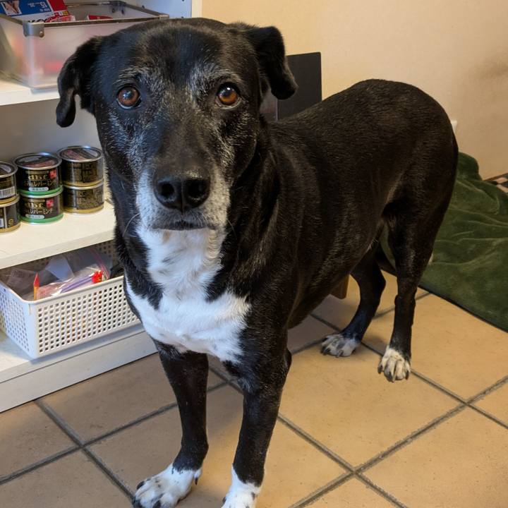 88124471 1b32 46c9 9970 cad364666d29 1773447901941