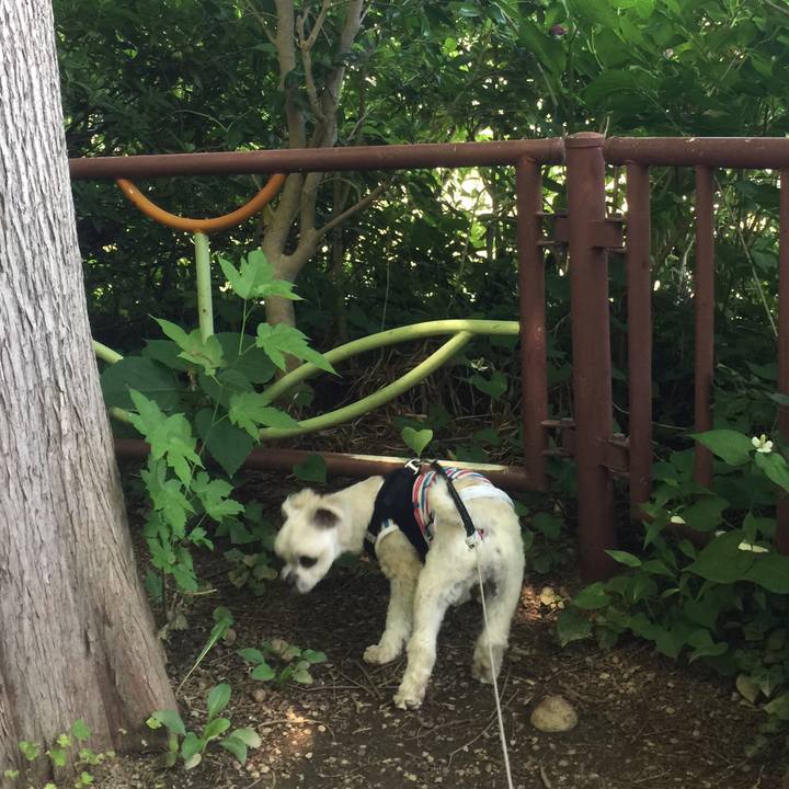 88126bc7 3eaf 40a8 8edb 83f7fdbdf4a7 1528114597828