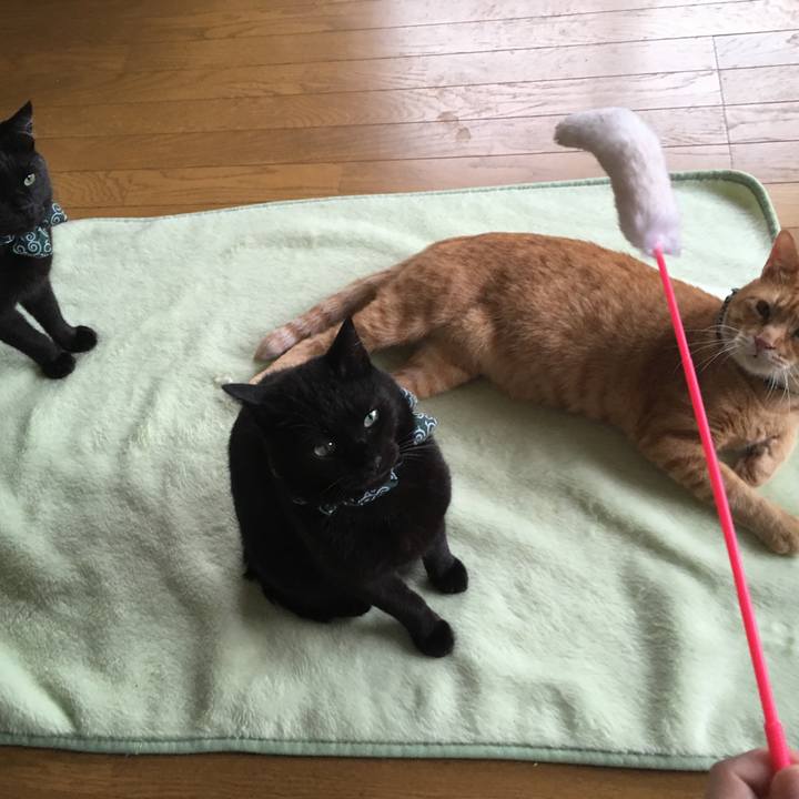 88127f3e fa6a 42e4 9696 b7b136a578de 1532243844235