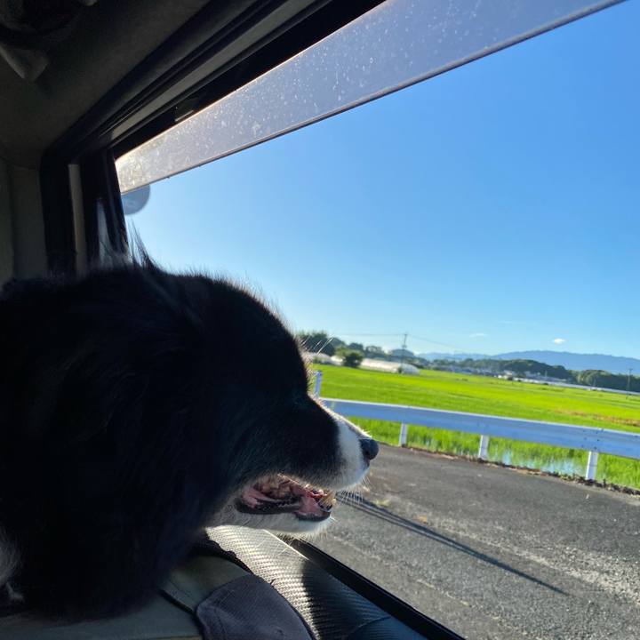 881287e9 f499 4baf 82d0 c17c4df050a5 1691100119014