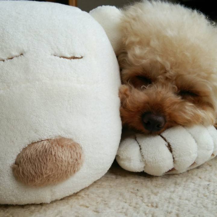 8812d964 d295 4158 9f62 994d834abb20 1516622549343