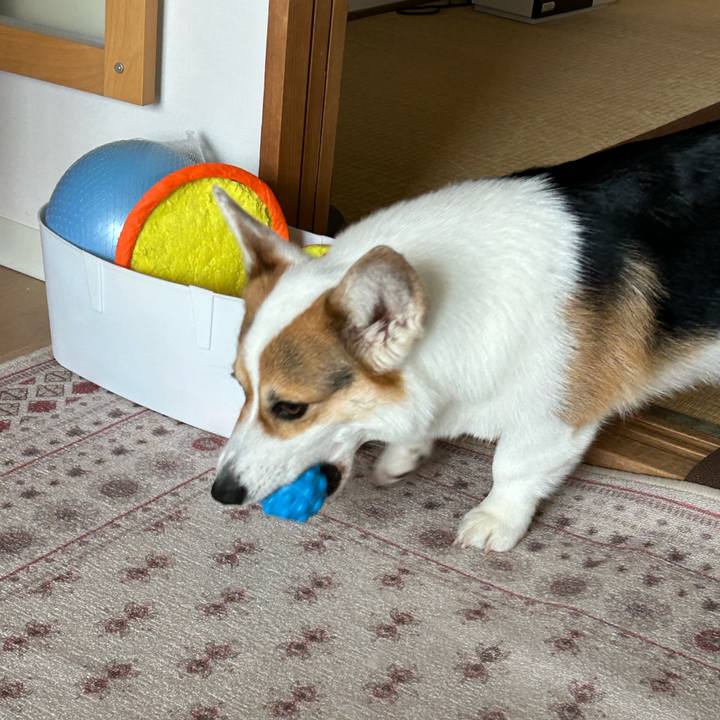 881307b8 a902 4865 9ff8 4d0d4362adae 1775797663408