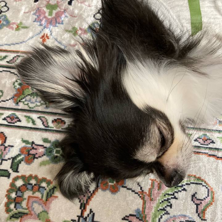 8813101e 229c 4c1d b3d0 2b5151cdf827 1651930810575