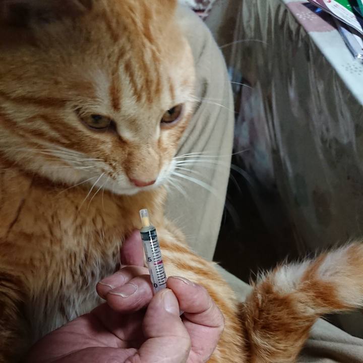 8813375f b194 468e ba84 be99a152e80f 1645524756888