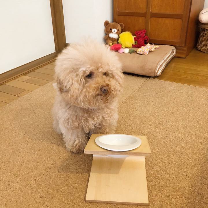 8813686b 0290 4237 b605 1d8c3e8c2150 1520914331389