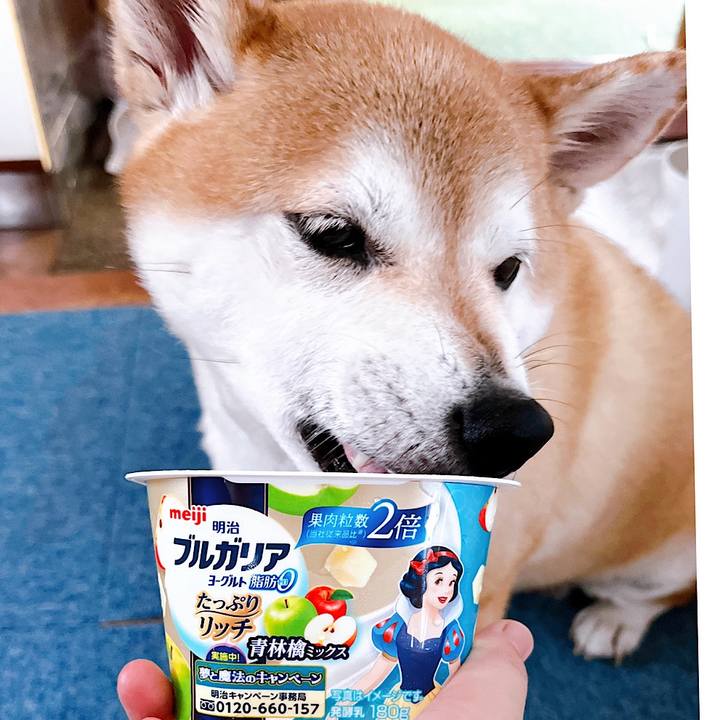 8813a15a a64d 4b5d aa2d 8734609cfd1f 1722148274057