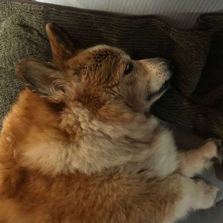 8813cd93 3d46 4755 8143 0d7404c0eeea 1571653921255