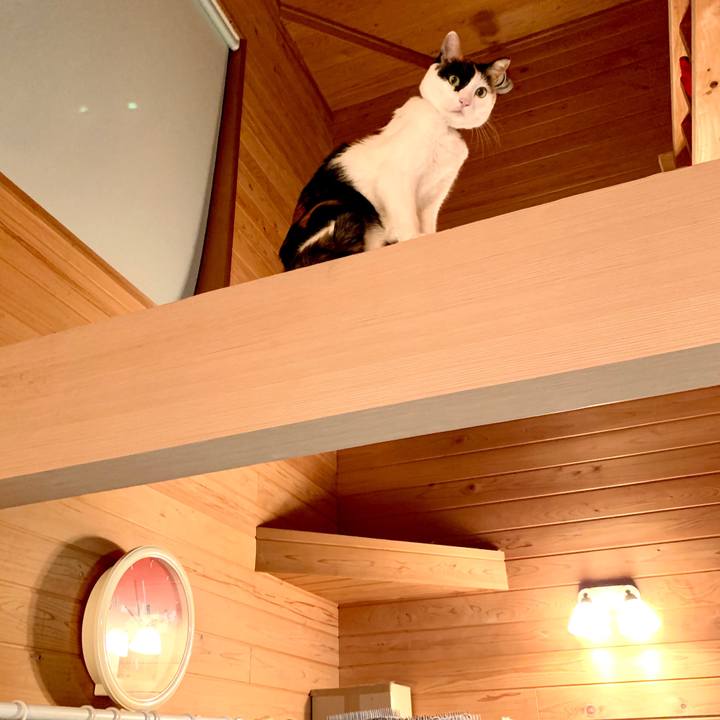 8813e908 653b 41f7 8d00 2b4636716024 1581512050940