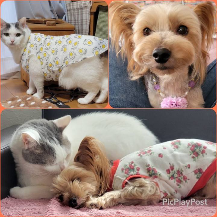 88141b18 5e7b 4cab 8095 c6707a1863e8 1636257519783