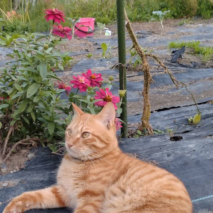 88144020 6d3d 4f66 b4f4 8ce340281aaf 1664612894465