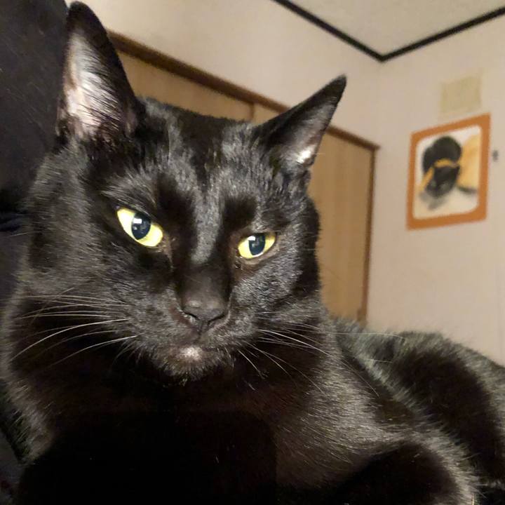 88147663 9ea2 4dc7 973f bc19ed172435 1675692120438