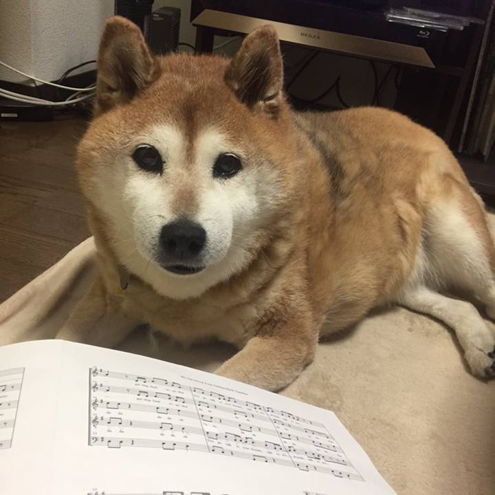 88147f7f 4958 43aa 830a 1baa4e7363ca 1558440689300