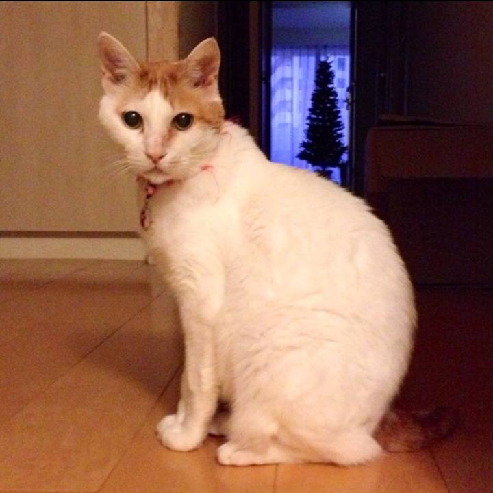 88149558 c44a 4941 982b d3846ba706ba 1518230750869