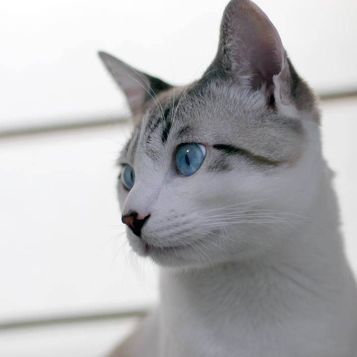 88149bc6 a536 4dcf 94ac 3f5100882c6c 1613620955307