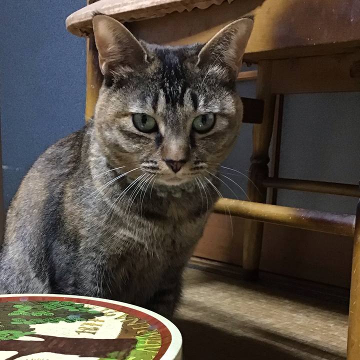 8814ed69 8129 4a49 9f9a afdfeb2cdec8 1644836070325