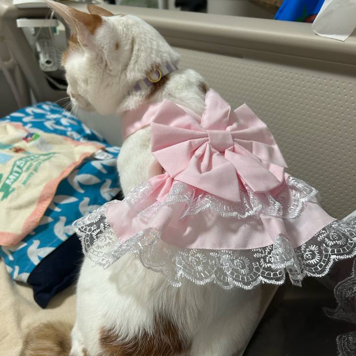 8814f762 4a2e 4f9c b51d 98ab4adf7bd4 1761828778350