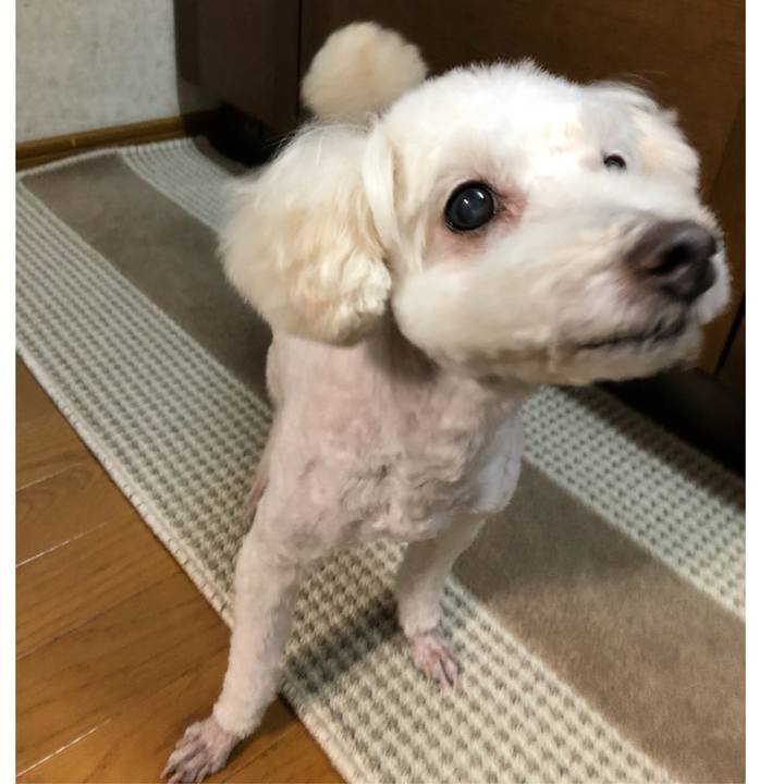 88150a76 c782 45f8 bfce 6cd61d37064c 1534952461235