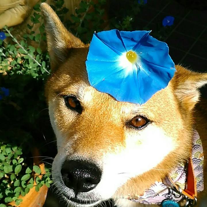 8815120f 1b23 4558 ab0c 848ad89e5f7c 1536370014704