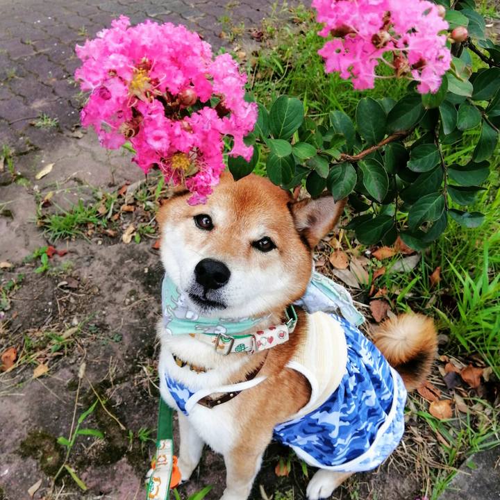 88151591 d0da 41b0 bffb d541b1f3b45b 1630222956452