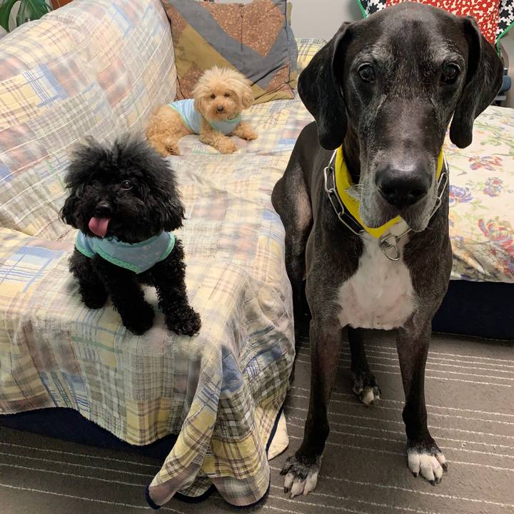 88153bd4 d372 4287 8309 d0553a2b9d45 1568672712744