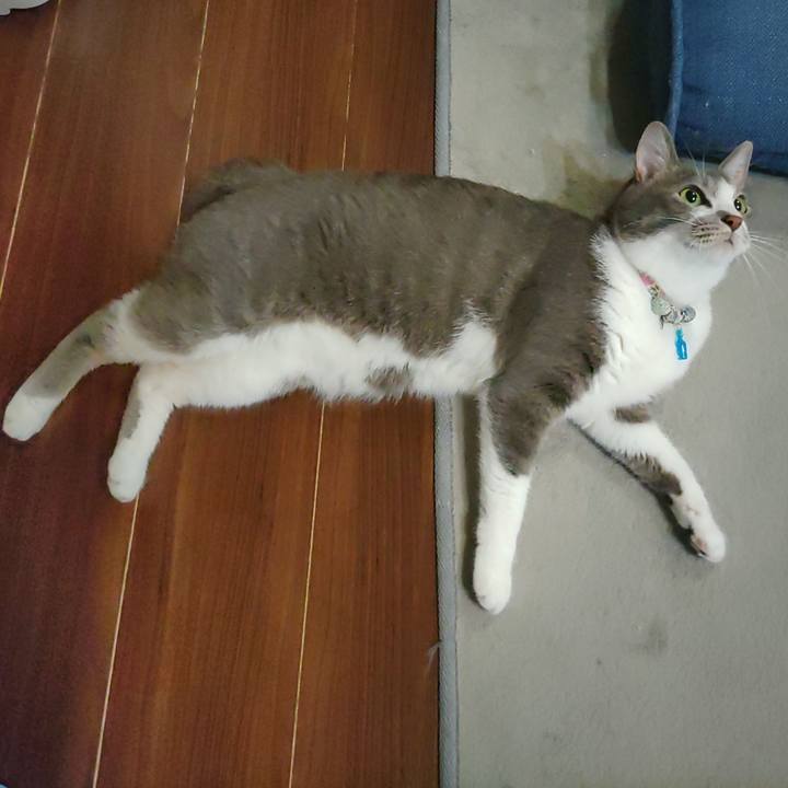 88158350 faae 497c abd9 0a6abe6282e2 1690841840514