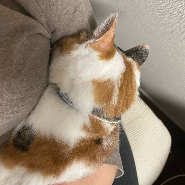 88159037 dc36 42bb bdd1 2caa9eca6e9c 1709216090969