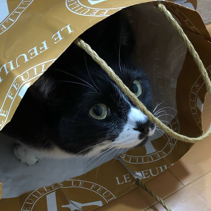 88159405 8c69 4ea7 acb0 17fbd55b75d1 1641353958873