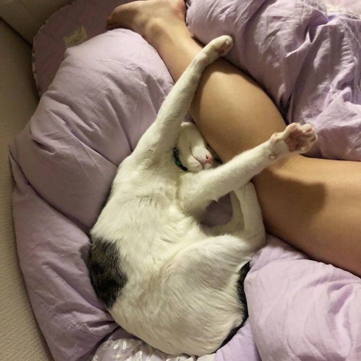 881599e3 1f84 4147 821b 381aae70b5db 1560691896290