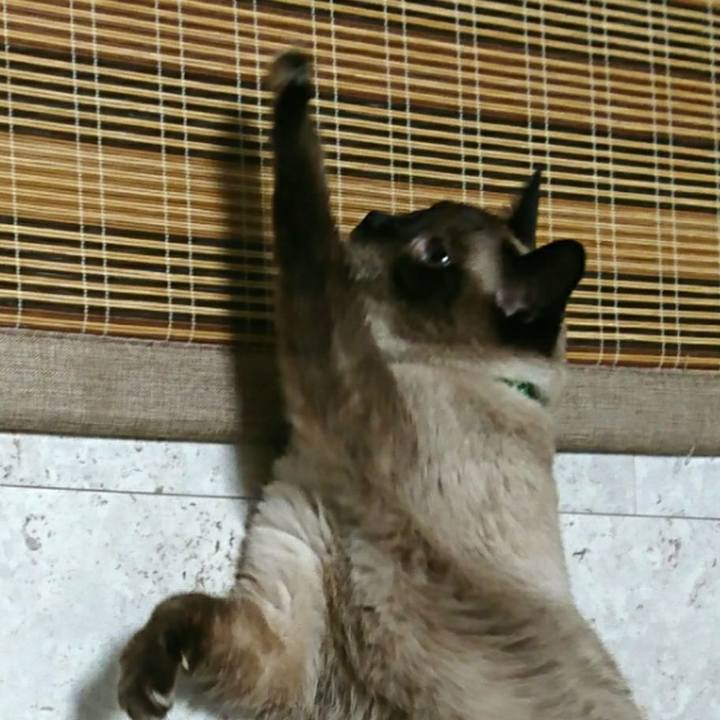 8815a88a fc11 49ee 99e7 24a1823164c0 1533072355006