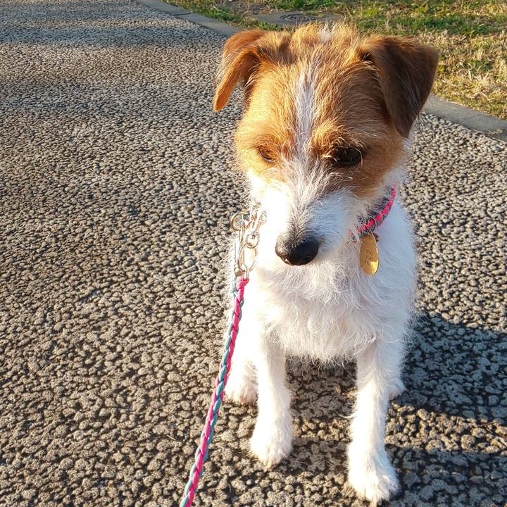 8815e5e0 1d73 4089 a90f b0ae58bcad60 1576802673609