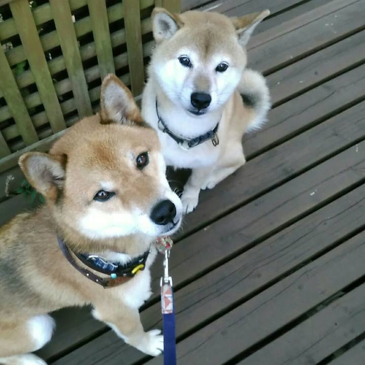 88161de9 8226 495e a37d 91accb5597fa 1566206957621