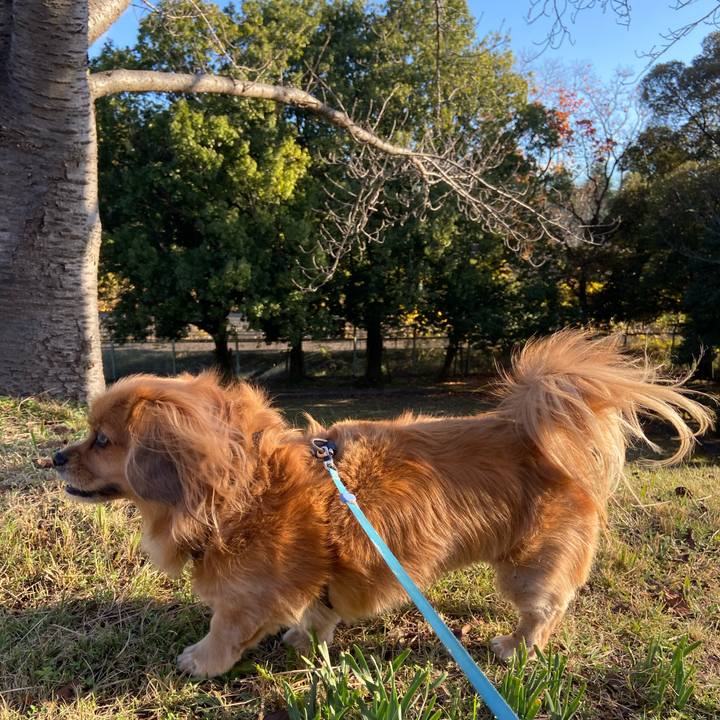 88161f6b b080 46d0 a8ee a85532a578f0 1605917619187