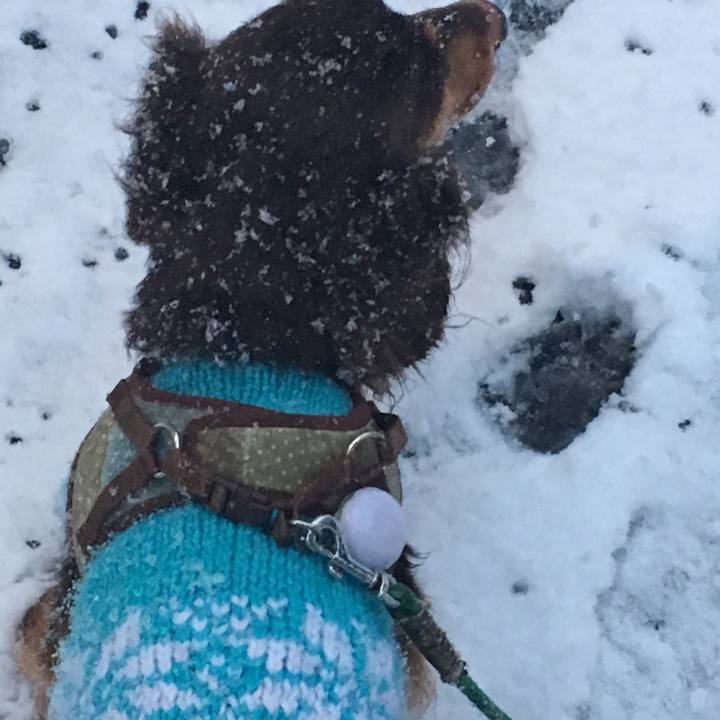 88163ee9 c800 43b0 bb73 63e7b7bc9f6d 1516609426988