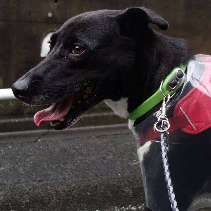 8816634c 8316 409f a34b 4fe736d1aef2 1625222080200