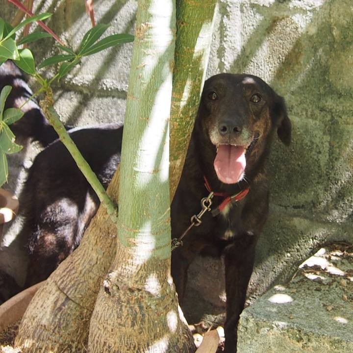 88166c5f 9247 4d45 be2b 04a799180047 1508594057997