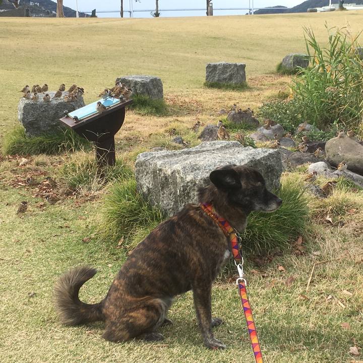 88167376 2a91 4a4f a0dd f9b9501c2561 1544408858622