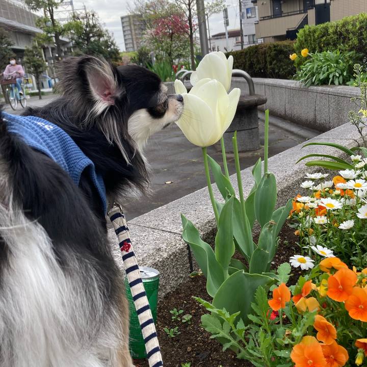 8816a90b 7875 4dac 9563 6113881b44a4 1617511783266