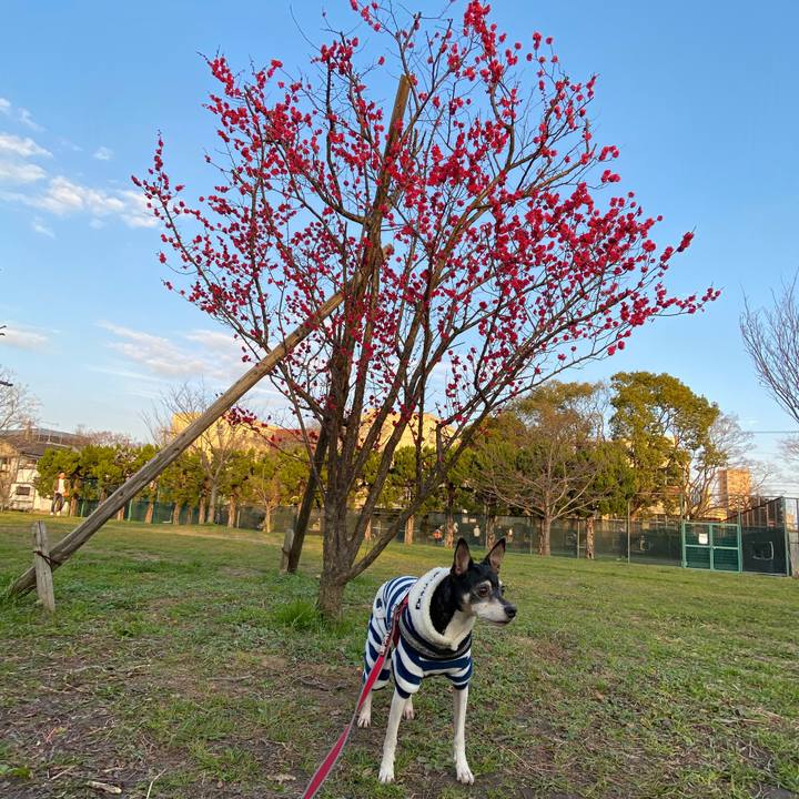 8816dbee ae69 4ed6 bee3 ceabf140aa26 1580630025349