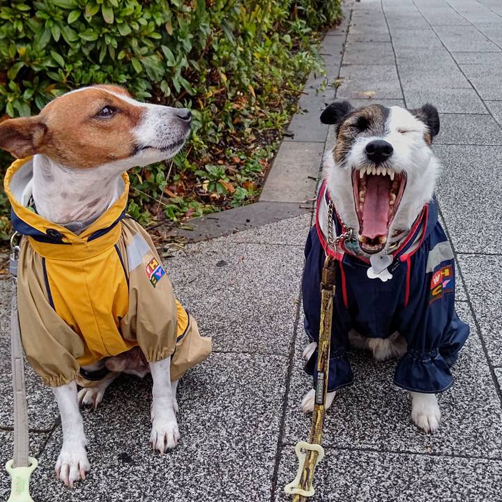 8816e693 1352 4422 a55a 0be5313ec03a 1637532548493