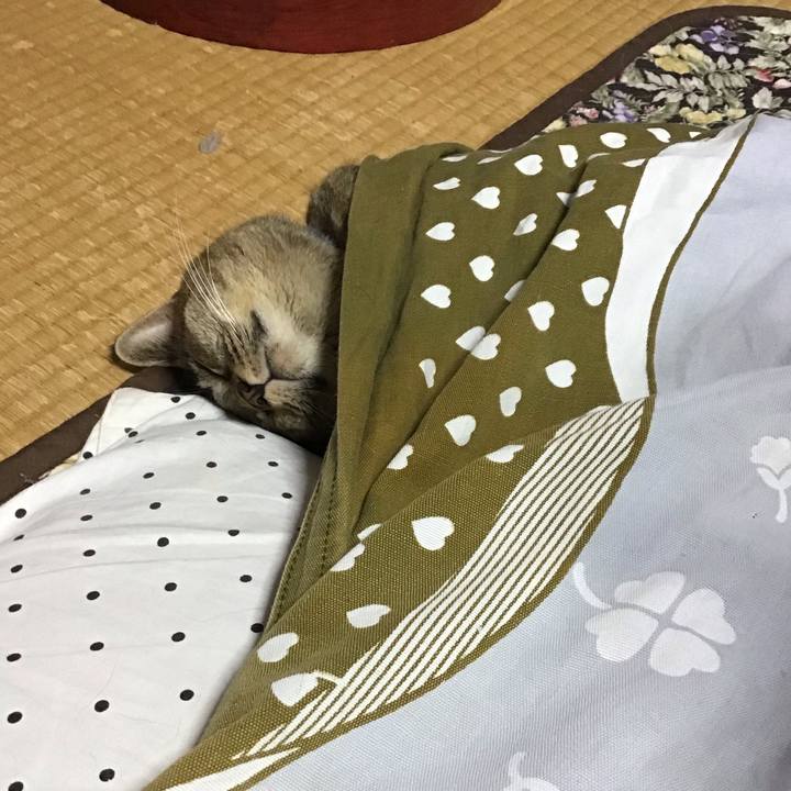 8816ed96 f2d4 4286 8e47 973190ea012b 1634875941261