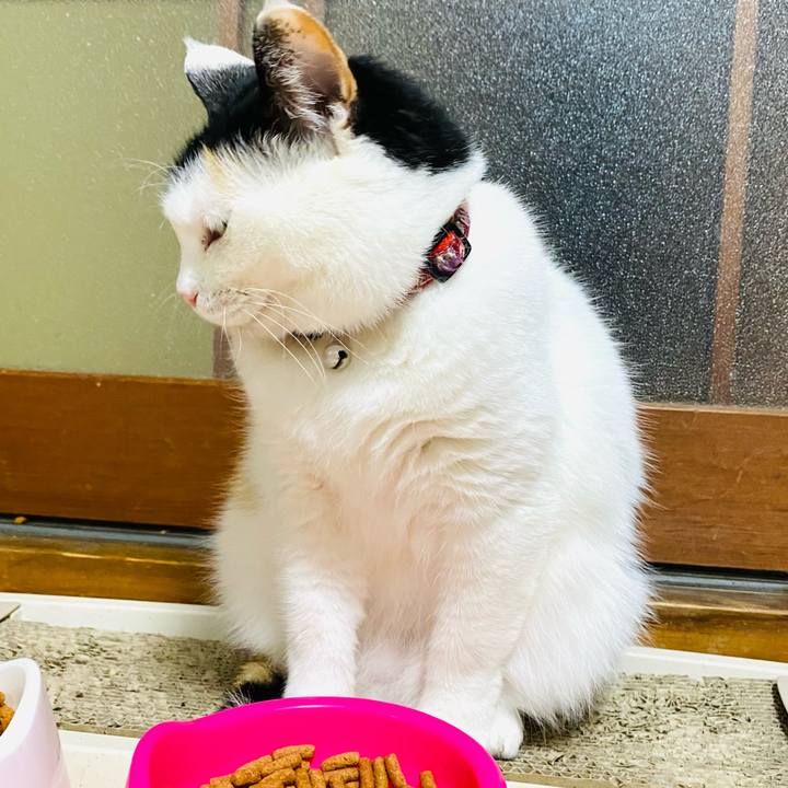 88170abc e050 499e b700 842974b13816 1681819632290