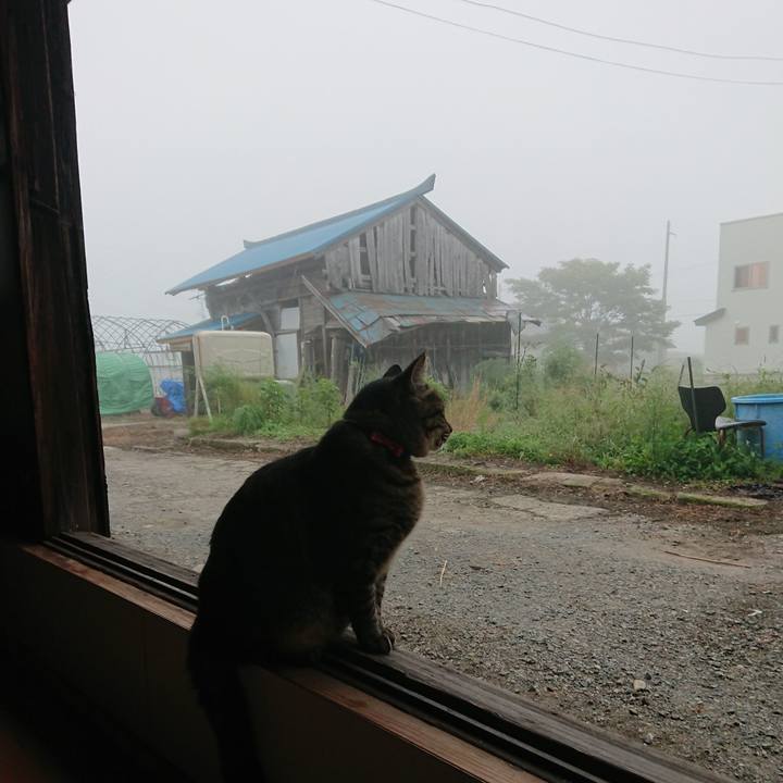 88171afc 0700 470e a4b7 2f7f94517f32 1663015717877