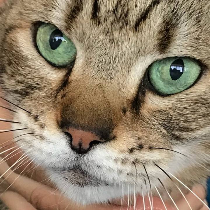 88171ed8 92ed 4491 9fba 53c513b04b8a 1597898109687